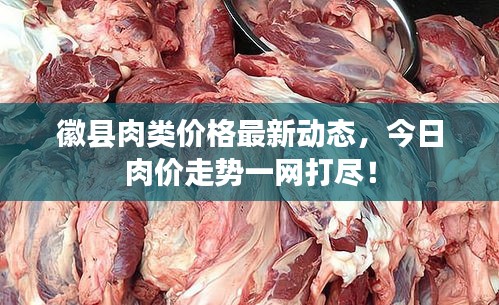 徽縣肉類價格最新動態(tài)，今日肉價走勢一網(wǎng)打盡！