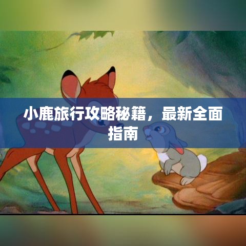小鹿旅行攻略秘籍，最新全面指南