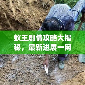 蟻王劇情攻略大揭秘，最新進展一網(wǎng)打盡！