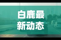 白鹿最新動(dòng)態(tài)消息曝光，不容錯(cuò)過！