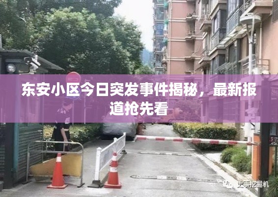 東安小區(qū)今日突發(fā)事件揭秘，最新報(bào)道搶先看