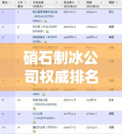 硝石制冰公司權威排名榜單揭曉