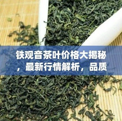 鐵觀音茶葉價(jià)格大揭秘，最新行情解析，品質(zhì)與價(jià)格雙重保障！