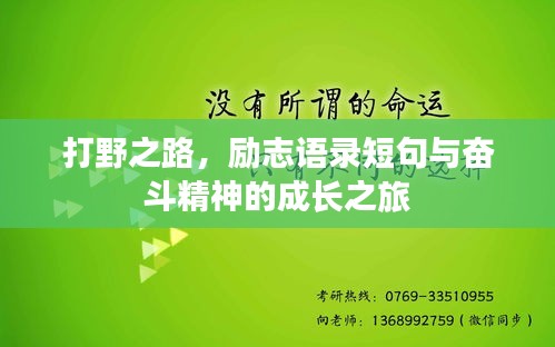 打野之路，勵志語錄短句與奮斗精神的成長之旅
