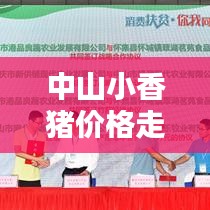 中山小香豬價(jià)格走勢(shì)大揭秘，最新行情分析！