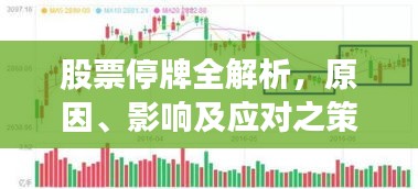 股票停牌全解析，原因、影響及應(yīng)對(duì)之策