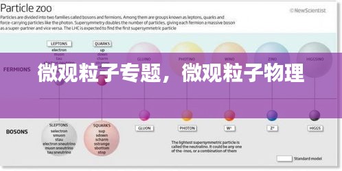 微觀粒子專題，微觀粒子物理 