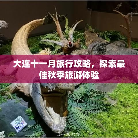 大連十一月旅行攻略，探索最佳秋季旅游體驗(yàn)