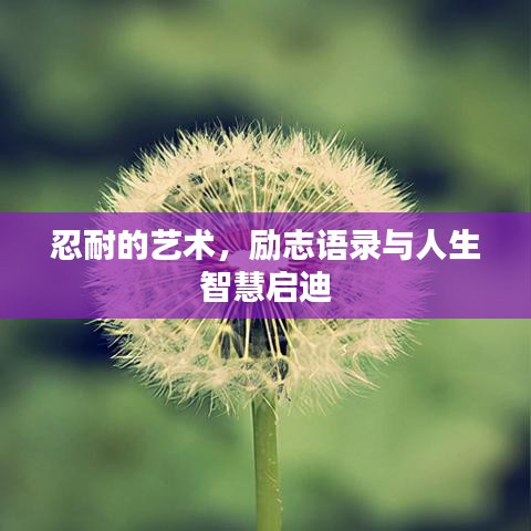 忍耐的藝術，勵志語錄與人生智慧啟迪