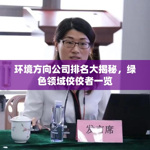 環(huán)境方向公司排名大揭秘，綠色領(lǐng)域佼佼者一覽