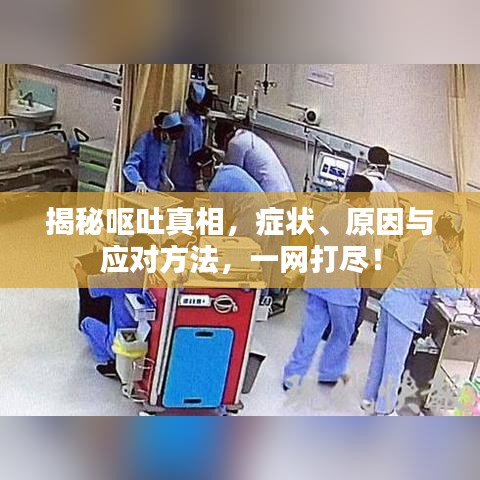 揭秘嘔吐真相，癥狀、原因與應(yīng)對方法，一網(wǎng)打盡！