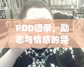 PDD語錄，勵(lì)志與情感的完美交融之道