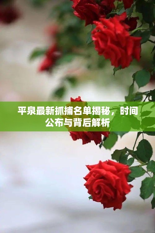 平泉最新抓捕名單揭秘，時間公布與背后解析