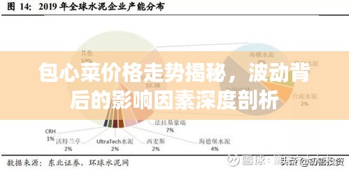 包心菜價(jià)格走勢(shì)揭秘，波動(dòng)背后的影響因素深度剖析