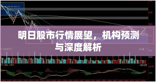 業(yè)績展示 第24頁