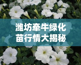 濰坊牽牛綠化苗行情大揭秘，最新價(jià)格分析與趨勢(shì)預(yù)測(cè)