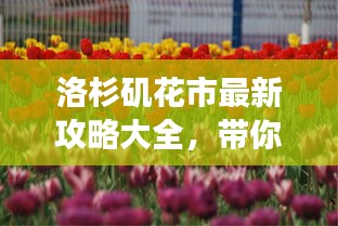洛杉磯花市最新攻略大全，帶你暢游花海世界！