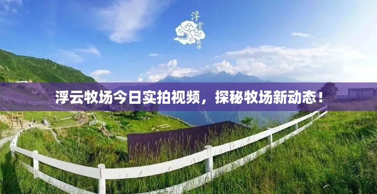 浮云牧場今日實拍視頻，探秘牧場新動態(tài)！
