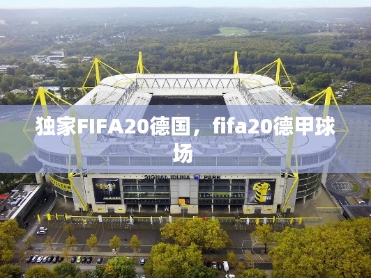 獨家FIFA20德國，fifa20德甲球場 