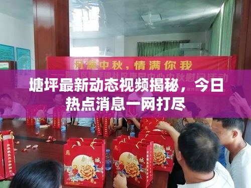 塘坪最新動態(tài)視頻揭秘，今日熱點消息一網(wǎng)打盡