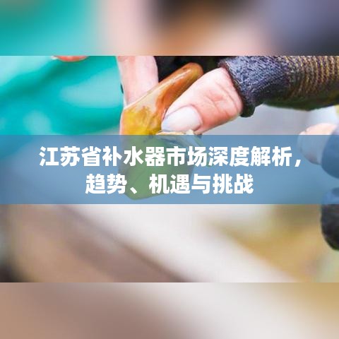 江蘇省補(bǔ)水器市場深度解析，趨勢、機(jī)遇與挑戰(zhàn)