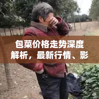 包菜價(jià)格走勢深度解析，最新行情、影響因素及預(yù)測