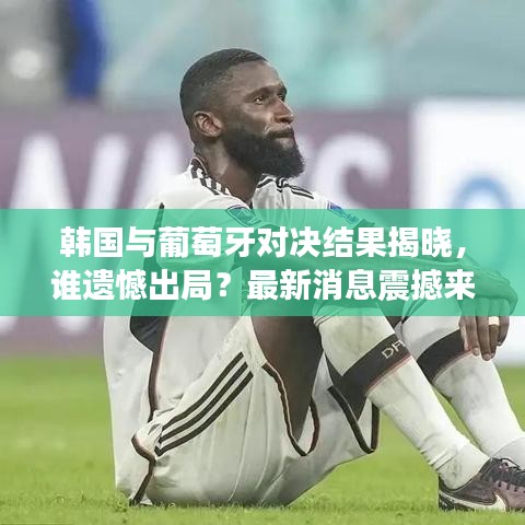 韓國與葡萄牙對決結(jié)果揭曉，誰遺憾出局？最新消息震撼來襲！