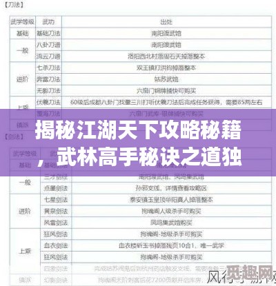 揭秘江湖天下攻略秘籍，武林高手秘訣之道獨家揭秘