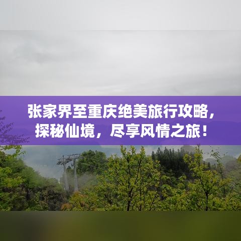 張家界至重慶絕美旅行攻略，探秘仙境，盡享風(fēng)情之旅！