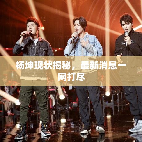 楊坤現(xiàn)狀揭秘，最新消息一網(wǎng)打盡