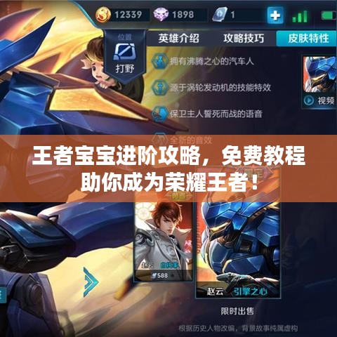 王者寶寶進(jìn)階攻略，免費(fèi)教程助你成為榮耀王者！