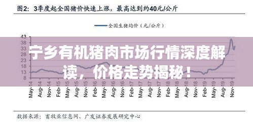 寧鄉(xiāng)有機(jī)豬肉市場(chǎng)行情深度解讀，價(jià)格走勢(shì)揭秘！