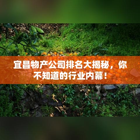 宜昌物產(chǎn)公司排名大揭秘，你不知道的行業(yè)內(nèi)幕！