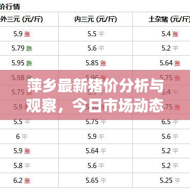 萍鄉(xiāng)最新豬價分析與觀察，今日市場動態(tài)揭秘
