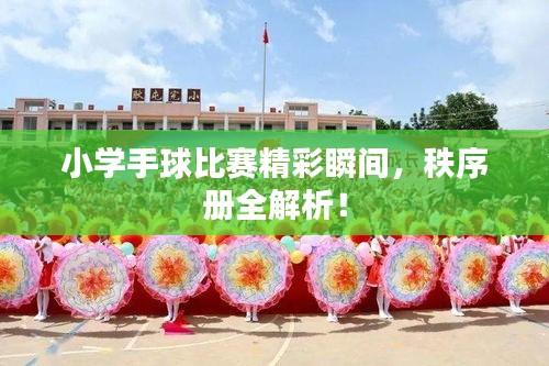 小學(xué)手球比賽精彩瞬間，秩序冊全解析！