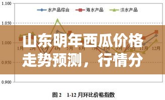 山東明年西瓜價(jià)格走勢(shì)預(yù)測(cè)，行情分析與展望