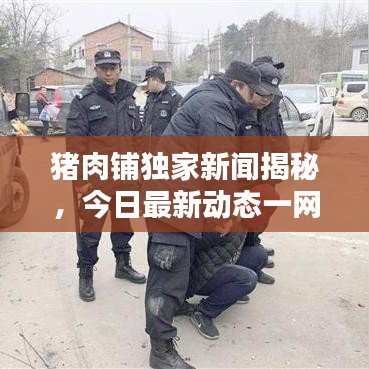 豬肉鋪獨家新聞揭秘，今日最新動態(tài)一網(wǎng)打盡