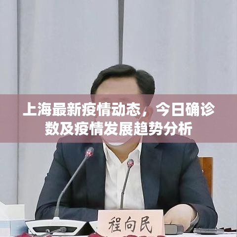 上海最新疫情動態(tài)，今日確診數(shù)及疫情發(fā)展趨勢分析