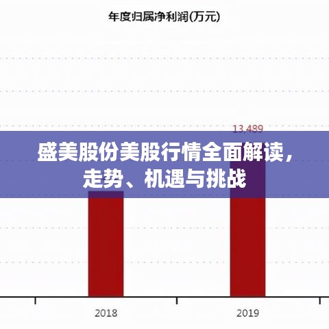 盛美股份美股行情全面解讀，走勢(shì)、機(jī)遇與挑戰(zhàn)