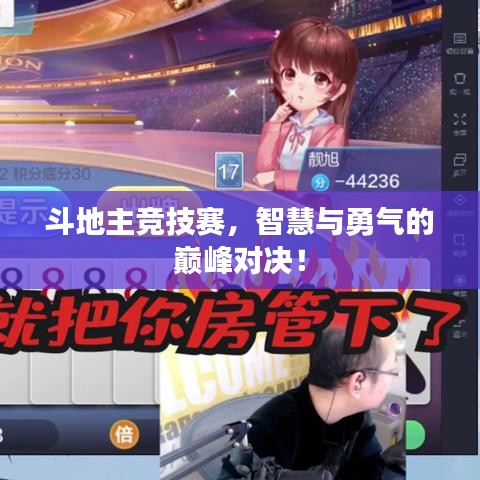 斗地主競(jìng)技賽，智慧與勇氣的巔峰對(duì)決！