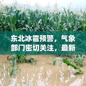 東北冰雹預(yù)警，氣象部門密切關(guān)注，最新預(yù)測提醒防范災(zāi)害