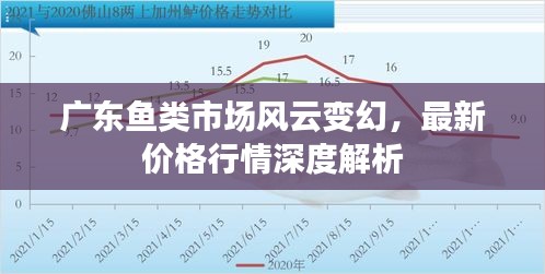 廣東魚類市場風(fēng)云變幻，最新價格行情深度解析