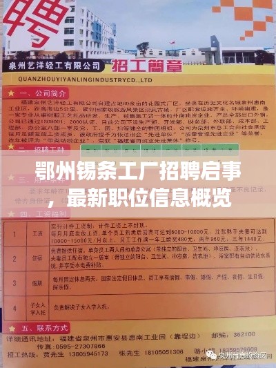 鄂州錫條工廠招聘啟事，最新職位信息概覽