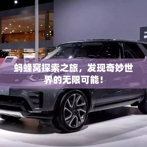 螞蜂窩探索之旅，發(fā)現(xiàn)奇妙世界的無限可能！