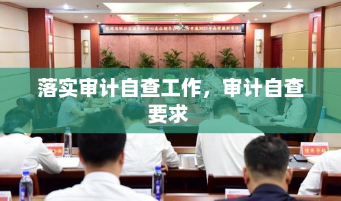 落實(shí)審計(jì)自查工作，審計(jì)自查要求 