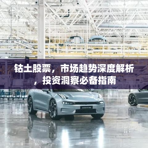 鈷土股票，市場趨勢深度解析，投資洞察必備指南