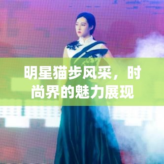 明星貓步風(fēng)采，時(shí)尚界的魅力展現(xiàn)