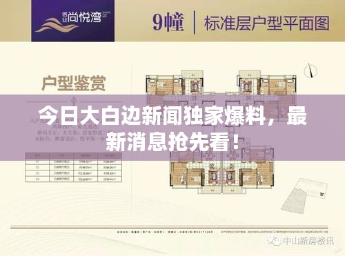 今日大白邊新聞獨(dú)家爆料，最新消息搶先看！