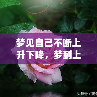 夢見自己不斷上升下降，夢到上升然后極速下落 