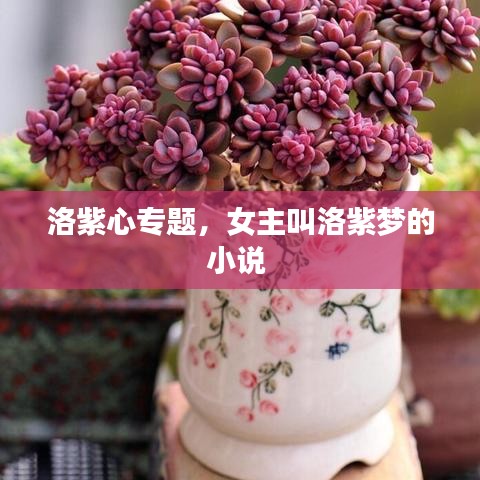 洛紫心專題，女主叫洛紫夢的小說 